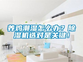 常見問題養雞潮濕怎么辦？除濕機選對是關鍵！