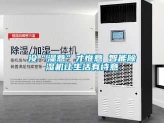行業新聞沒“濕意”才愜意 智能除濕機讓生活有詩意