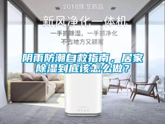 常見(jiàn)問(wèn)題陰雨防潮自救指南，居家除濕到底該怎么做？