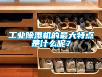 企業(yè)新聞工業(yè)除濕機的最大特點是什么呢？
