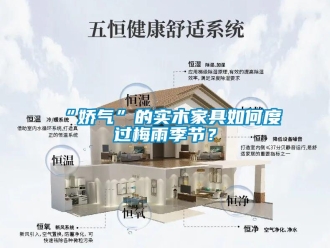 常見問題“嬌氣”的實木家具如何度過梅雨季節？