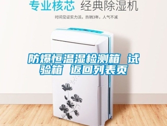企業(yè)新聞防爆恒溫濕檢測箱 試驗(yàn)箱 返回列表頁