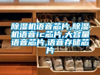 行業新聞除濕機語音芯片,除濕機語音ic芯片,大容量語音芯片,語音存儲芯片