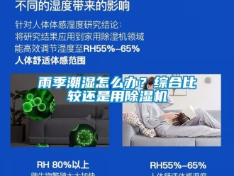 行業新聞雨季潮濕怎么辦？綜合比較還是用除濕機