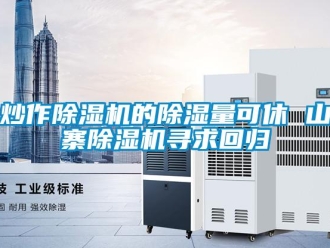 企業新聞炒作除濕機的除濕量可休 山寨除濕機尋求回歸