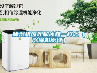 行業新聞除濕機原理和冰箱一樣嗎（除濕機原理）