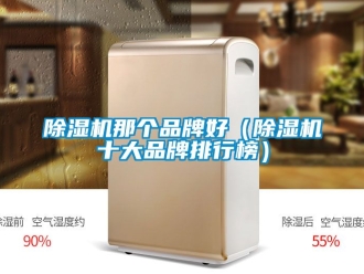 企業新聞除濕機那個品牌好（除濕機十大品牌排行榜）