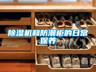 常見問題除濕機(jī)和防潮柜的日常保養(yǎng)