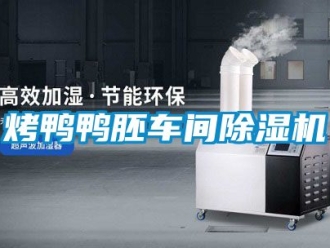 企業(yè)新聞烤鴨鴨胚車間除濕機(jī)