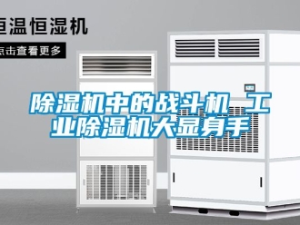 常見(jiàn)問(wèn)題除濕機(jī)中的戰(zhàn)斗機(jī) 工業(yè)除濕機(jī)大顯身手