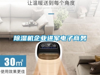 常見問題除濕機(jī)企業(yè)進(jìn)軍電子商務(wù)