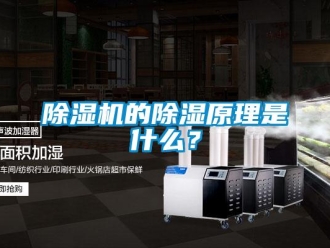 企業(yè)新聞除濕機(jī)的除濕原理是什么？