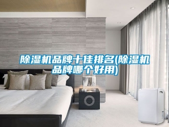 企業新聞除濕機品牌十佳排名(除濕機品牌哪個好用)