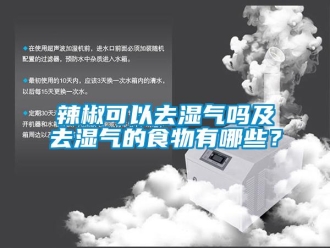 常見問題辣椒可以去濕氣嗎及去濕氣的食物有哪些？