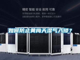 常見問題如何防止黃梅天濕氣入侵？