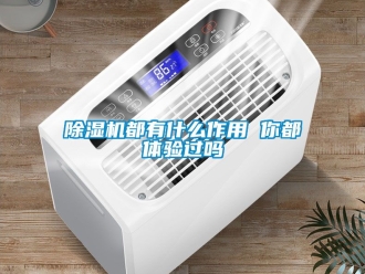 行業新聞除濕機都有什么作用 你都體驗過嗎