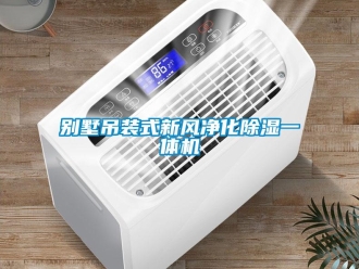 常見問題別墅吊裝式新風凈化除濕一體機