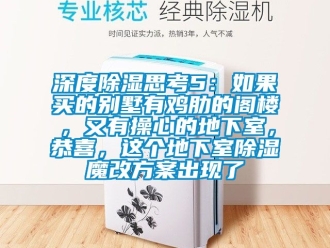 企業新聞深度除濕思考5：如果買的別墅有雞肋的閣樓，又有操心的地下室，恭喜，這個地下室除濕魔改方案出現了