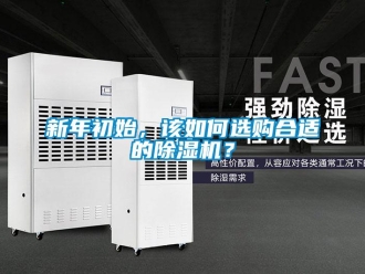 常見問題新年初始，該如何選購合適的除濕機？