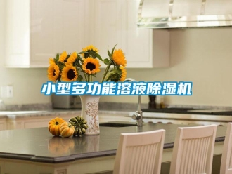 知識百科小型多功能溶液除濕機