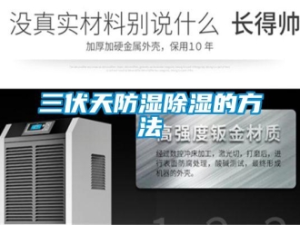 企業新聞三伏天防濕除濕的方法