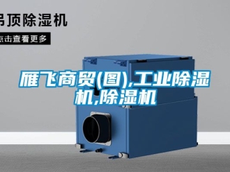 常見問題雁飛商貿(圖),工業除濕機,除濕機
