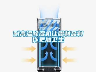 行業(yè)新聞耐高溫除濕機(jī)讓臘制品制作更加衛(wèi)生