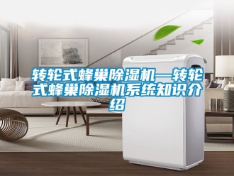 常見問題轉(zhuǎn)輪式蜂巢除濕機—轉(zhuǎn)輪式蜂巢除濕機系統(tǒng)知識介紹