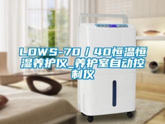 常見問題LDWS-70／40恒溫恒濕養護儀_養護室自動控制儀
