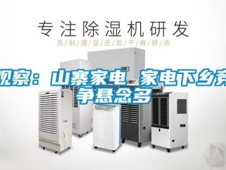 行業(yè)新聞?dòng)^察：山寨家電 家電下鄉(xiāng)競爭懸念多