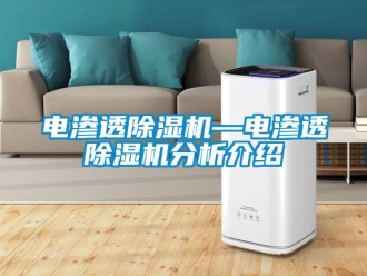 行業新聞電滲透除濕機—電滲透除濕機分析介紹