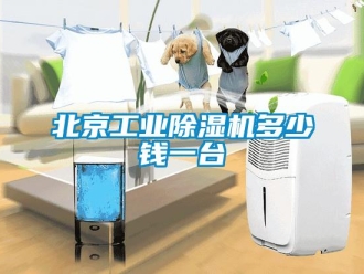 常見問題北京工業除濕機多少錢一臺