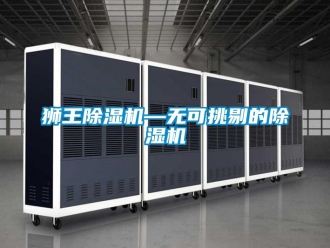 行業(yè)新聞獅王除濕機—無可挑剔的除濕機