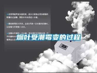 知識百科煙葉受潮霉變的過程