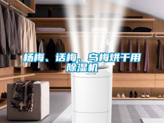 知識百科楊梅、話梅、烏梅烘干用除濕機