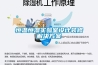 恒溫恒濕實驗室設計裝修解決方案