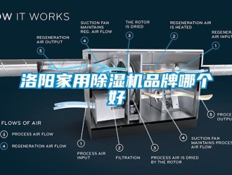 企業新聞洛陽家用除濕機品牌哪個好