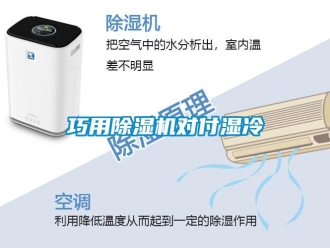 行業新聞巧用除濕機對付濕冷