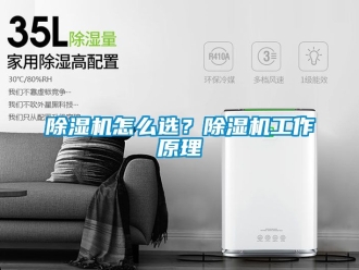 行業(yè)新聞除濕機怎么選？除濕機工作原理