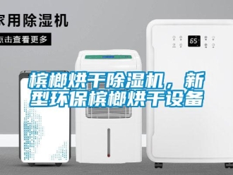 常見問題檳榔烘干除濕機，新型環保檳榔烘干設備