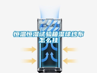 知識(shí)百科恒溫恒濕試驗(yàn)箱濕球紗布怎么掛