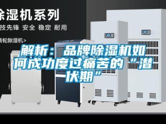 常見問題解析：品牌除濕機如何成功度過痛苦的“潛伏期”