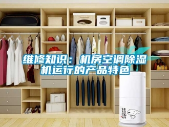行業(yè)新聞維修知識(shí)：機(jī)房空調(diào)除濕機(jī)運(yùn)行的產(chǎn)品特色