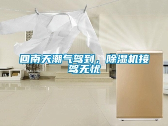 行業新聞回南天潮氣駕到，除濕機接駕無憂