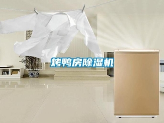 行業新聞烤鴨房除濕機