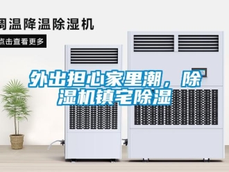 知識百科外出擔心家里潮，除濕機鎮宅除濕