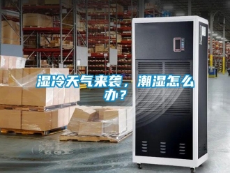 常見(jiàn)問(wèn)題濕冷天氣來(lái)襲，潮濕怎么辦？