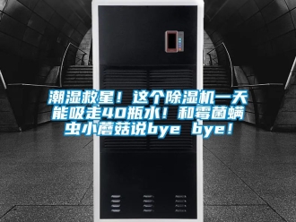 企業(yè)新聞潮濕救星！這個除濕機一天能吸走40瓶水！和霉菌螨蟲小蘑菇說bye bye！