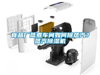 企業(yè)新聞食品廠蒸煮車間如何除蒸汽？蒸汽除濕機