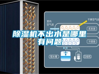 企業(yè)新聞除濕機不出水是哪里有問題